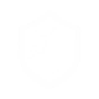 https://secure.taskforceusa.org/wp-content/uploads/2024/07/White-Task-Force-Logo-2-320x320.png